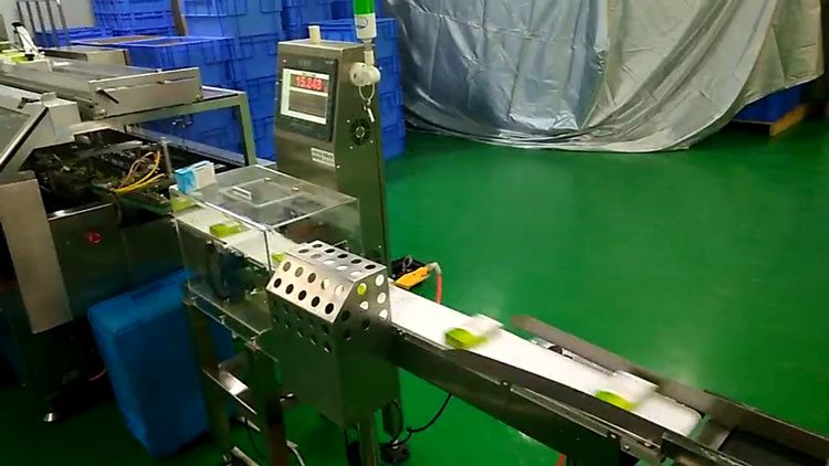 SeTAQ B301816型生產線稱重機 檢重儀 重量檢測秤